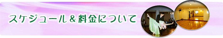 スケジュール＆料金について